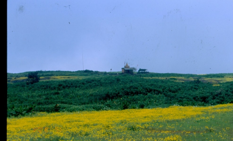 Anjeneri
