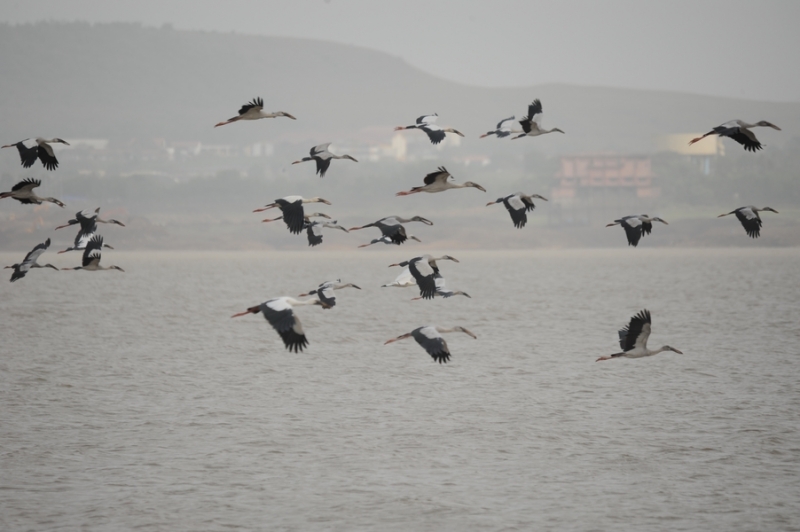 gangapur-dam